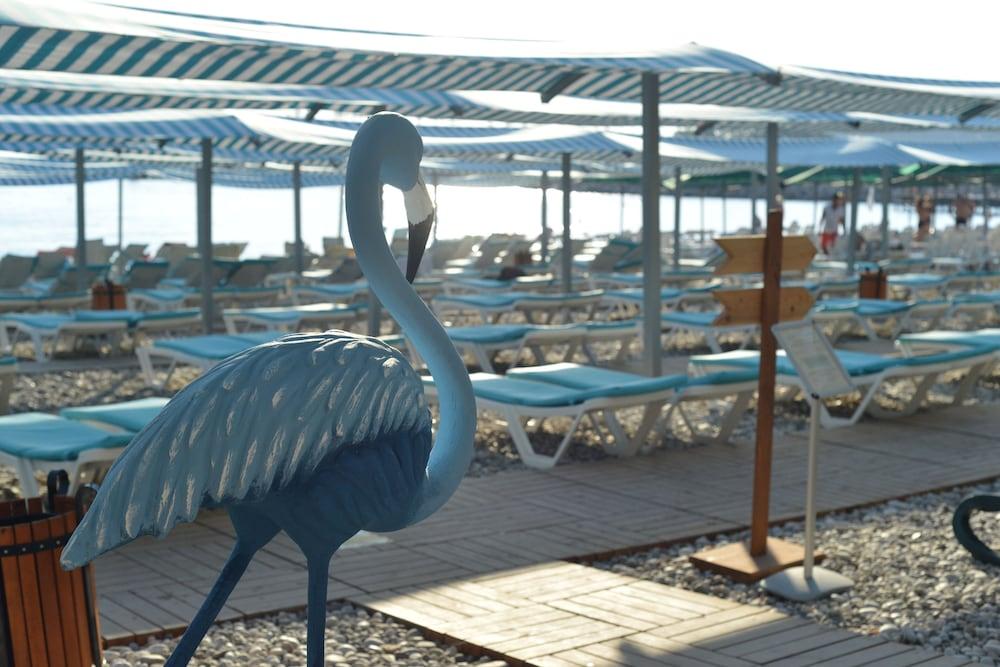 Hotel L'ancora 4*